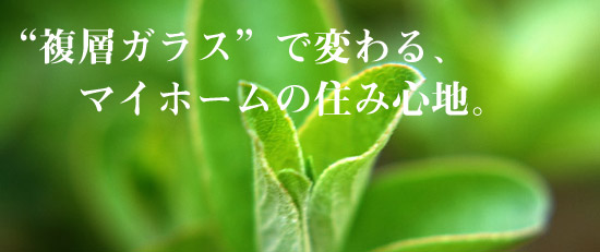 ���w�K���X�ŕς��A�}�C�z�[���̏Z�ݐS�n